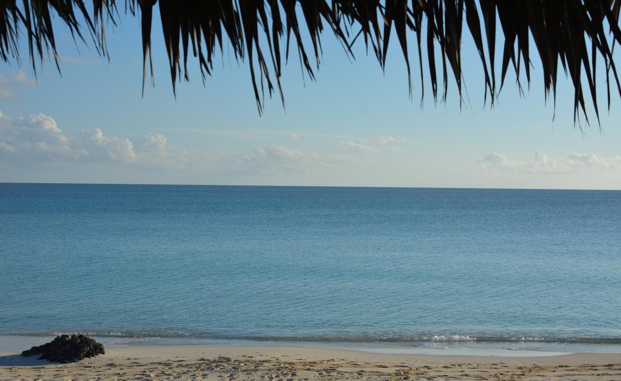 Pigeon Cay Beach Club Arthur Town Dış mekan fotoğraf